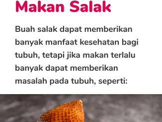 15 Manfaat Buah Salak Bagi Kesehatan